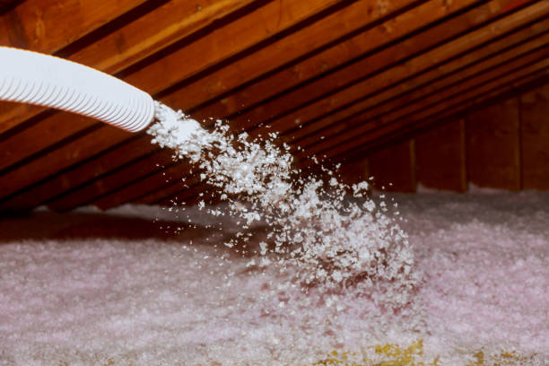 Professional Insulation Contractor in Vidalia, LA