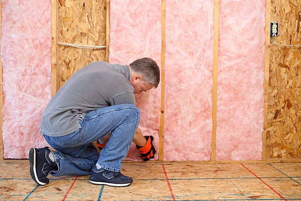 Best DIY Insulation Kits and Guidance in Vidalia, LA